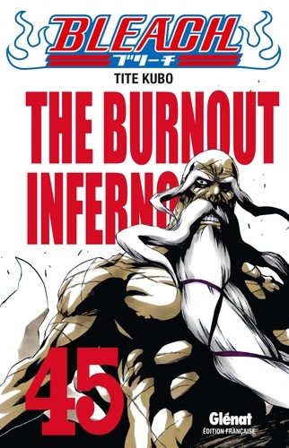 Bleach Tome 45 The burnout inferno