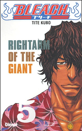Bleach Tome 5 Rightarm of the Giant