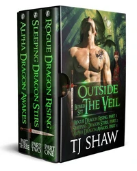 Outside the Veil Boxed Set (Parts 1-3): Rogue Dragon Rising, Sleeping Dragon Stirs, Alpha Dragon Awakes