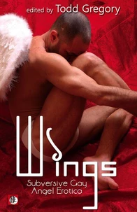 Wings: Subversive Gay Angel Erotica