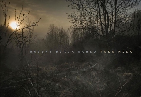 Todd Hido - Bright Black World.