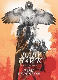 Baby Hawk