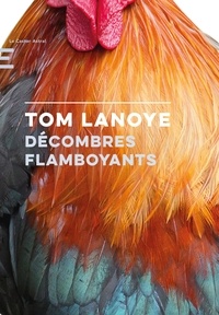 Tom Lanoye - Décombres flamboyants.