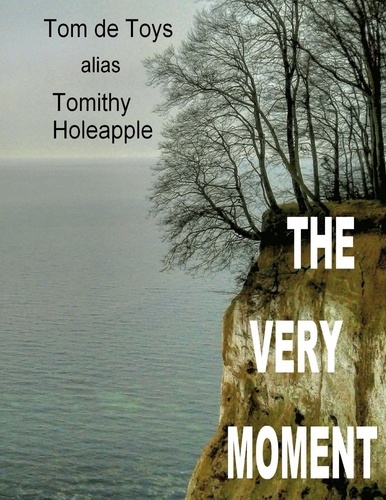 The Very Moment. 27 english poems by a german poet 1998-2020 (UPGRADE!)