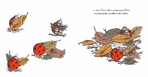 Bien au chaud pour l'hiver de Tomoko Ohmura - Album - Livre