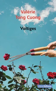 Voltiges