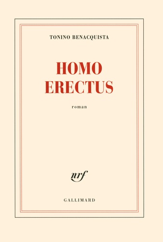 Homo erectus - Occasion