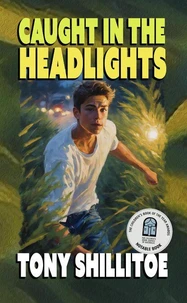 Caught in the Headlights