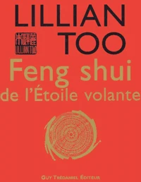 Feng shui de l'Etoile volante