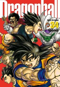 Dragon Ball Tome 34