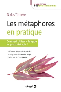 Les métaphores en pratique