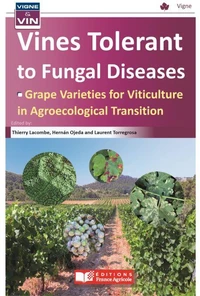 Vines Tolerant to Fungal Diseases