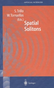 Spatial Solitons