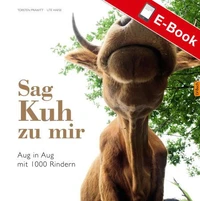 Sag Kuh zu mir