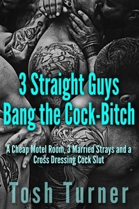  Tosh Turner - 3 Straight Guys Bang the Cock-Bitch: A Cheap Motel Room, 3 Married Strays and a Cross Dressing Cock Slut.