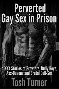  Tosh Turner - Perverted Gay Sex in Prison:  4 XXX Stories of Prowlers, Bully Boys, Ass-Queens and Brutal Cell-Sex.