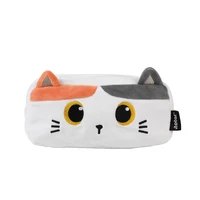 Trousse plush orange cat