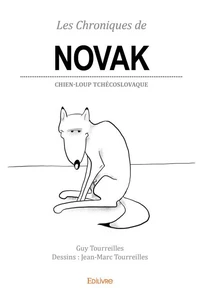 Les Chroniques de Novak