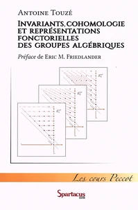 Invariants, cohomologie et représentations fonctorielles des groupes algébriques
