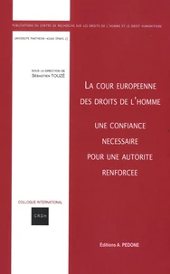 La Cour européenne des droits de l'homme