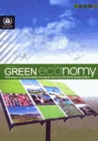  United Nations - Towards a Green Economy: Pathways to Sustainable Development and Poverty Eradication.