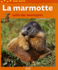 La marmotte
