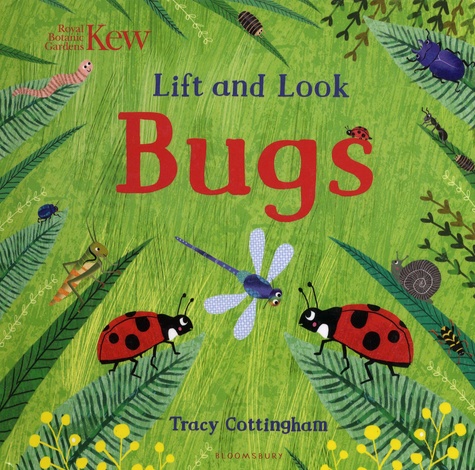 Tracy Cottingham - Lift and Look Bugs.