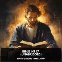 Bible  NT 17 (Unabridged)