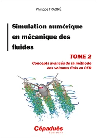 Simulation numérique en mécanique des fluides
