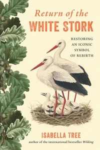 Return of the White Stork