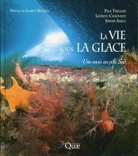 La vie sous la glace