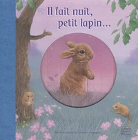 Il fait nuit, petit lapin...