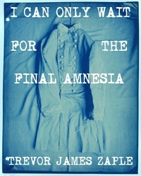  Trevor Zaple - I Can Only Wait For The Final Amnesia.