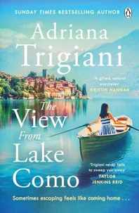 The View from Lake Como