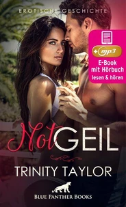 NotGeil | Erotik Audio Story | Erotisches Hörbuch