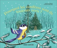 Pourquoi les conifères sont-ils toujours verts ?