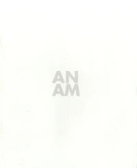 AN/AM : Aurélie Nemours/Agnes Martin, l'écriture comme dévoilement