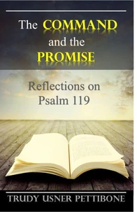 The Command and the Promise