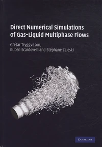 Direct Numerical Simulations of Gas-Liquid Multiphase Flows