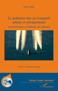 La pollution due au transport urbain et aéroportuaire