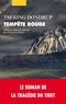 Tsering Dondrup - Tempête rouge.