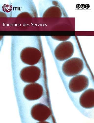  Tso - Transition des Services.