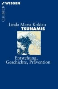 Tsunamis - Entstehung, Geschichte, Prävention.