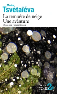 La tempête de neige - Une aventure