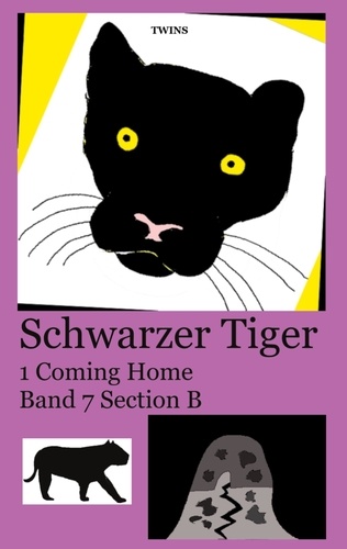  TWINS - Schwarzer Tiger 1 Coming Home - Band 7 Section B.
