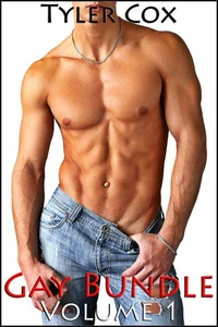 Gay Bundle - Volume 1