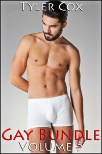 Gay Bundle - Volume 5