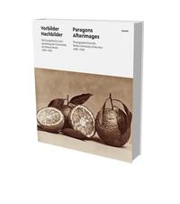 Paragons & Afterimages