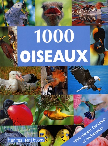 Ulrike Schöber - 1000 oiseaux.