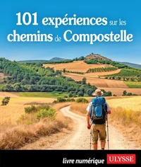 101 sites à découvrir sur les chemins de Compostelle